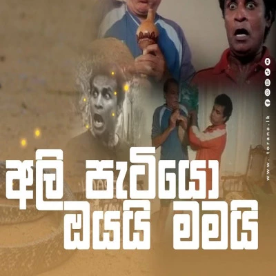 Ahasa Usata Mithuru Kamae (Ali Patiyo Oyai Mamai) mp3 songAhasa Usata Mithuru Kamae (Ali Patiyo Oyai Mamai) lyrics and karaoke