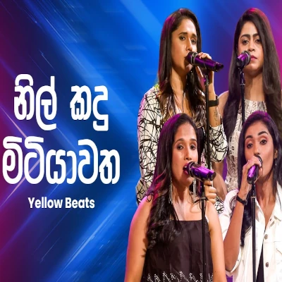 Nil Kadu Mitiyawatha (Ahankara Nagare) mp3 songNil Kadu Mitiyawatha (Ahankara Nagare) lyrics and karaoke
