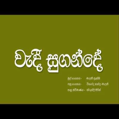 Wedi Sugande mp3 songWedi Sugande lyrics and karaoke