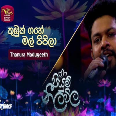 Kumbuk Gahe Mal Pipila (Piyum Neela Vila) mp3 song