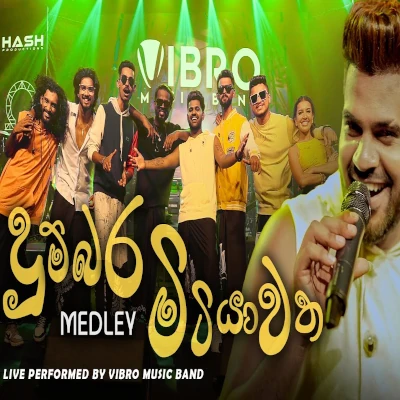 Dumbara Mitiyawatha (Live) mp3 song