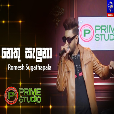 Nethu Saluna Kadulin Dasa Themi (Prime Studio) mp3