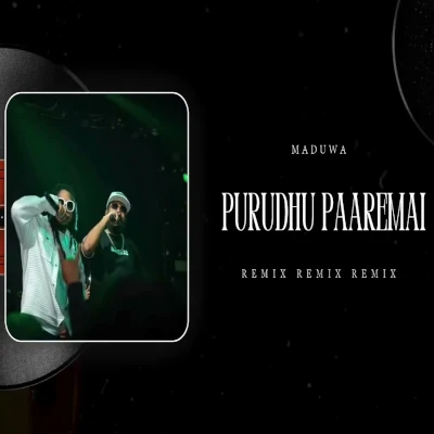 Purudhu Paaremai (Remix) mp3
