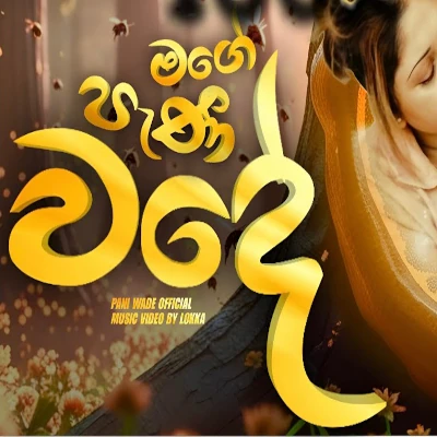 Mage Pani Wadee mp3 song