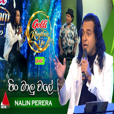 Pin Malu Wale Kusal Hami (Goldi Rhythm of Life) mp3