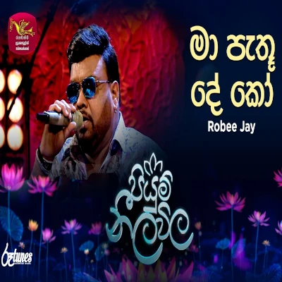 Maa Pathuu Dee Koo (Piyum Neela Vila) mp3