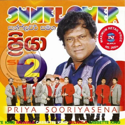 Sarathasa Niwa Divi Kathare mp3 songSarathasa Niwa Divi Kathare lyrics and karaoke