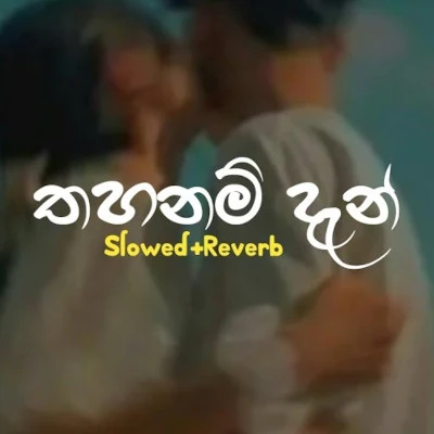 Thahanam Dan (Slowed & Reverb) mp3 songThahanam Dan (Slowed & Reverb) lyrics and karaoke