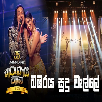 Bambaraya (Marians Tharunai Thaama Live In Concert) mp3 songBambaraya (Marians Tharunai Thaama Live In Concert) lyrics and karaoke