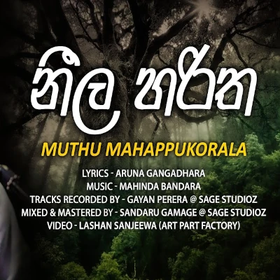 Neela Haritha mp3 song