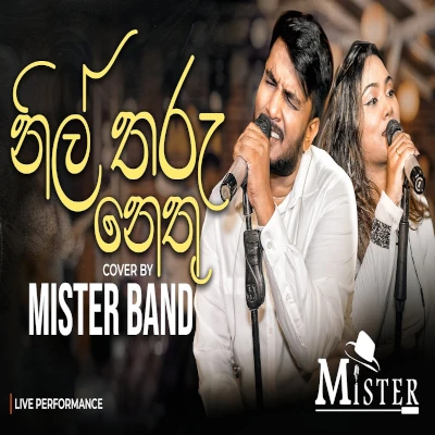 Nil Tharu Nethu (Cover) mp3 song