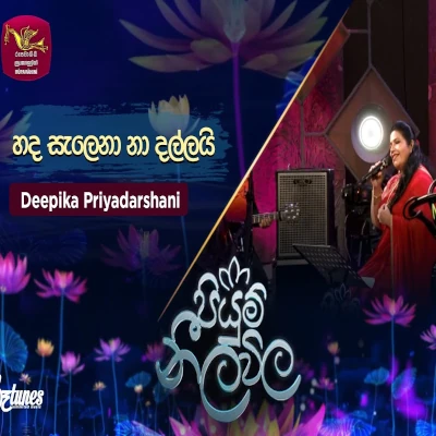 Hada Salena Na Dallai (Piyum Neela Vila) mp3 song