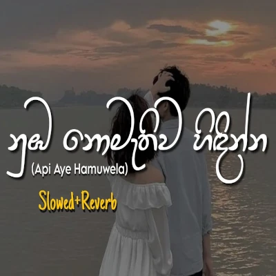 Api Aye Hamuwela (Slowed & Reverb) mp3