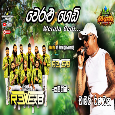Weralu Gedi Pahena Kale (Live) mp3
