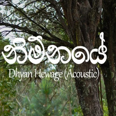 Nimnaye (Acoustic Version) mp3 song