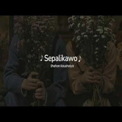 Sepalikawo (Slowed & Reverb) mp3 song