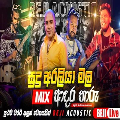 Sudu Araliya Mala Mix (Live) mp3