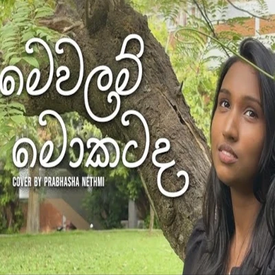 Mewalam Mokatada (Cover) mp3 song