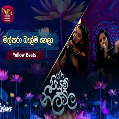Malsara Balma Hela (Piyum Neela Vila) mp3 song
