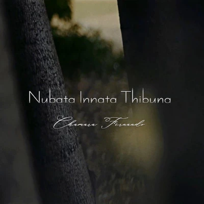 Nubata Innata Thibuna mp3 song