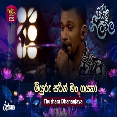 Miyuru Sarin Man Gayana (Piyum Neela Vila) mp3