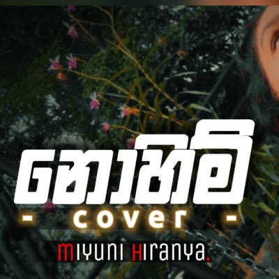 Nohimi (Cover) mp3 songNohimi (Cover) lyrics and karaoke