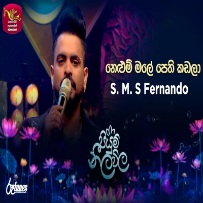 Nelum Male Pethi Kadala (Piyum Neela Vila) mp3