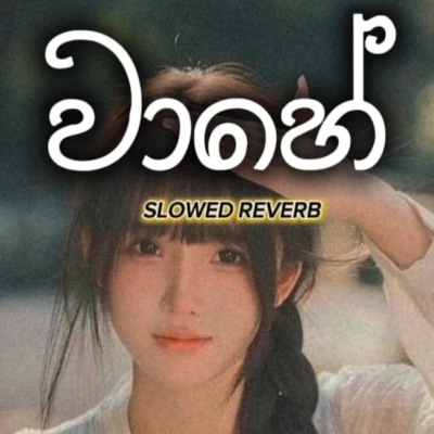 Vaahe (slowed & Reverb) mp3