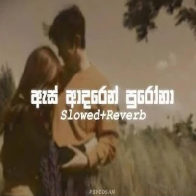 As adaren Purona (slowed & reverb) mp3 song
