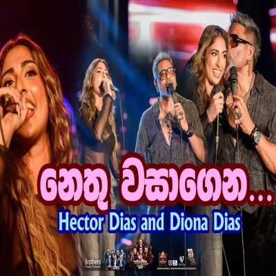 Paata Paata Heena (Live) mp3 song
