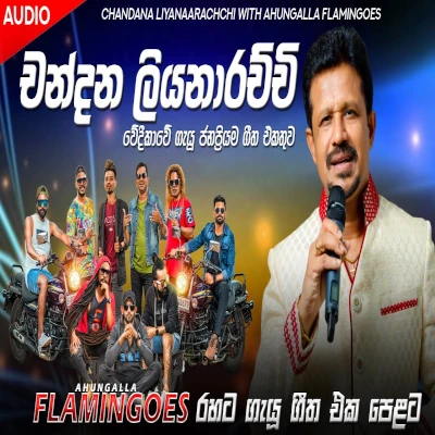 Chandana Liyanaarachchi With Ahungalla Flamingoes 2024 mp3