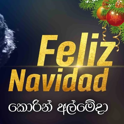 Zeliz Navidad (Cover) mp3 songZeliz Navidad (Cover) lyrics and karaoke