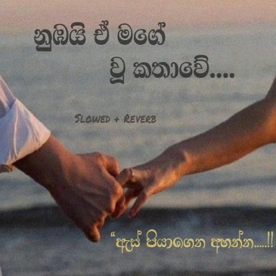 Magewu Kathawe ( Slowed + Reverb) mp3 song