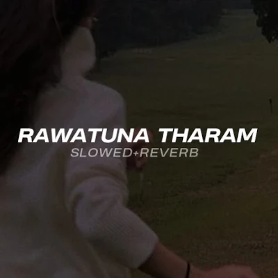 Rawatuna Tharam Oba Hinda Man (Slowed & Reverb) mp3 songRawatuna Tharam Oba Hinda Man (Slowed & Reverb) lyrics and karaoke