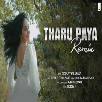 Tharu Paya Remix mp3 song