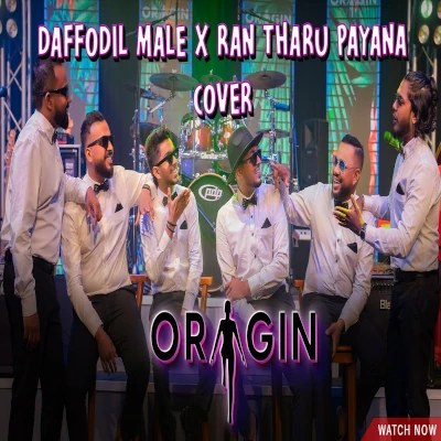 Daffodil Male | Ran Tharu Payana (Cover) mp3 songDaffodil Male | Ran Tharu Payana (Cover) lyrics and karaoke