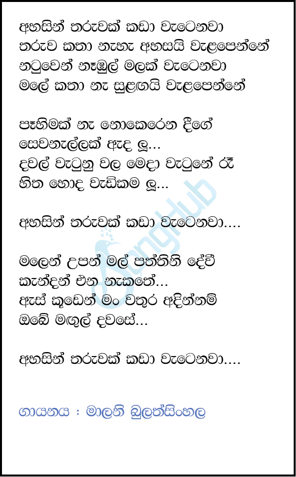 Ahasin Tharuwak Kada Wetenawa Lyrics