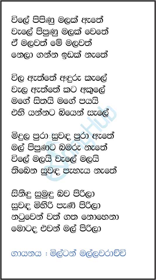 Vile Pipunu Malak Athe Lyrics