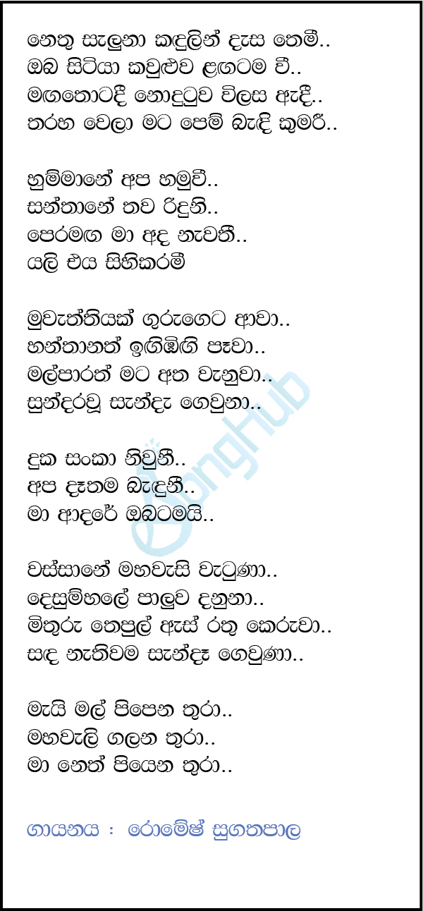 Nethu Saluna Kadulin Dasa Themi (City of Music) Lyrics