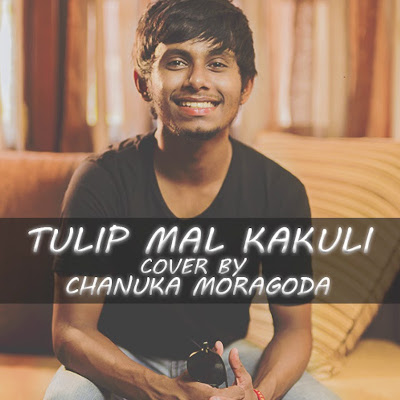 Tulip Mal Kakuli (Cover) mp3 song