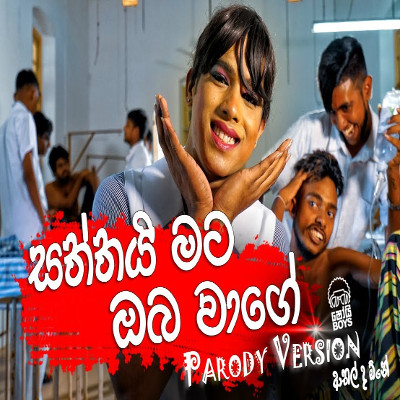 Saththai Mata Oba Wage - Dengu (Parody) Lyrics