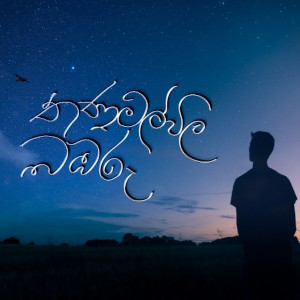 Thanamalwila Babaru Lyrics