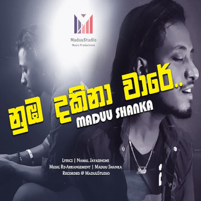 Numba Dakina Waraye (Sathutak Na Wage) mp3 song