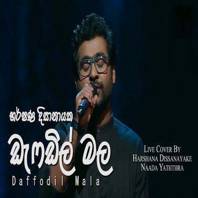 Sitha Ma Soragena Giye Ayda Daffodil Male (Live Cover) mp3 song