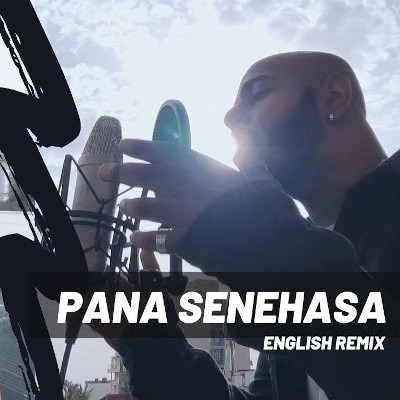 Pana Senehasa (English Remix) mp3 song