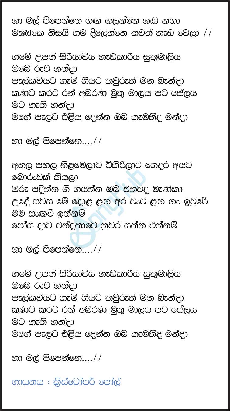Ha Mal Pipenne ( Piyum Neela Vila) Lyrics