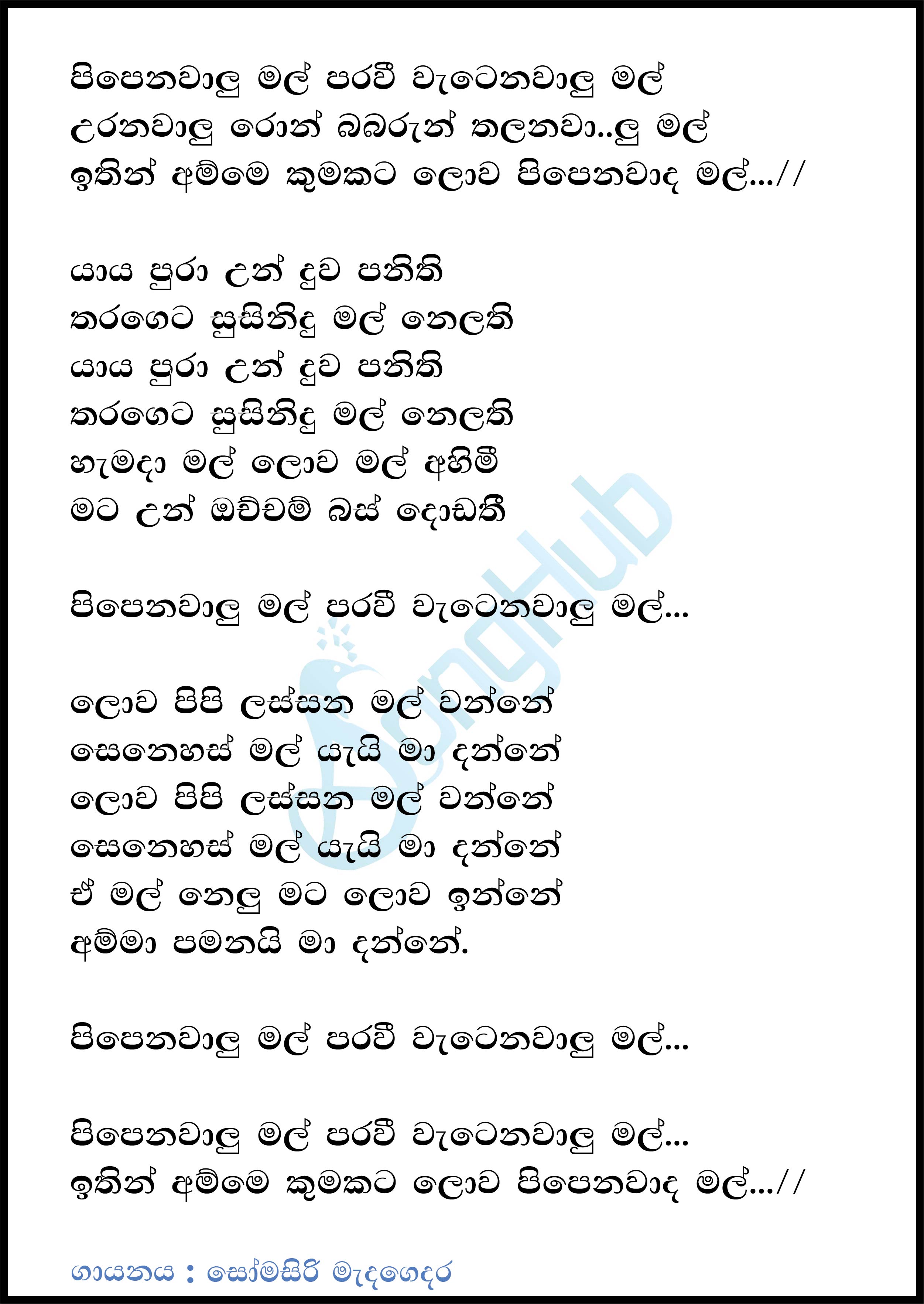 Pipenawalu Mal (Live) Lyrics