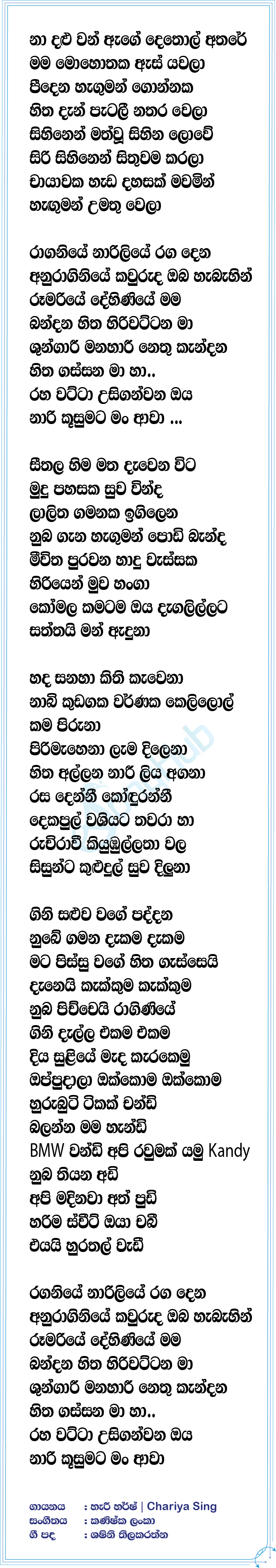 Raginiye (Slowed & Reverb) Lyrics