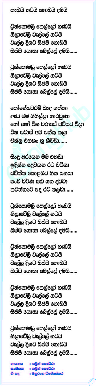 Trincomalee (Cover) Lyrics